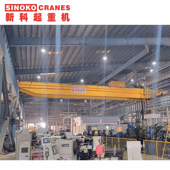 Fem Standard Electric Overhead Crane Bridge Crane