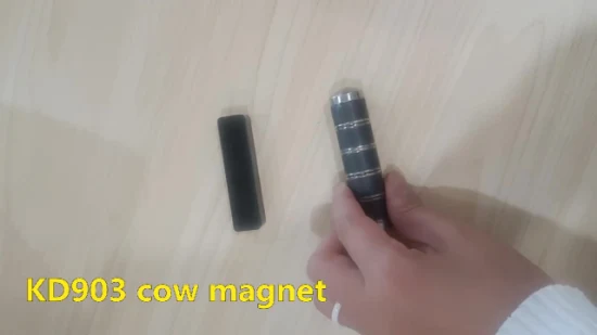 Useful New Types Cow Magnet for Cow